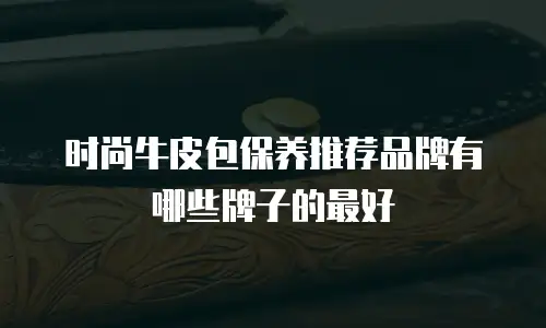 时尚牛皮包保养推荐品牌有哪些牌子的最好