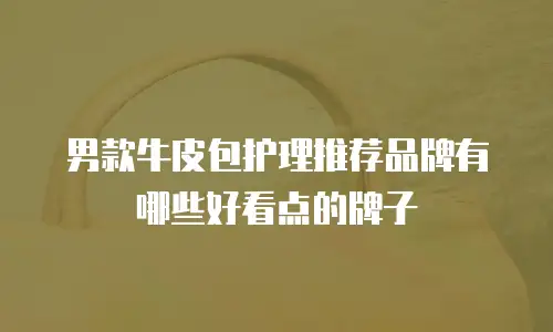 男款牛皮包护理推荐品牌有哪些好看点的牌子