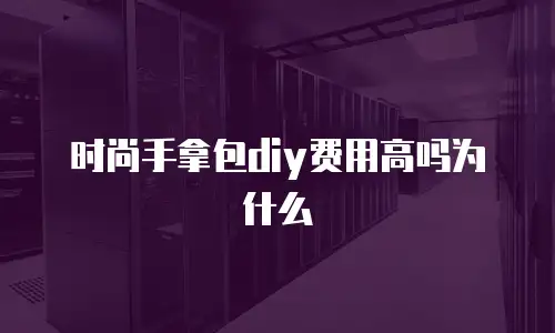 时尚手拿包diy费用高吗为什么