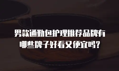 男款通勤包护理推荐品牌有哪些牌子好看又便宜吗？