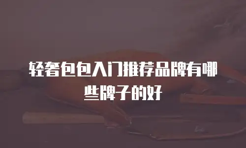 轻奢包包入门推荐品牌有哪些牌子的好
