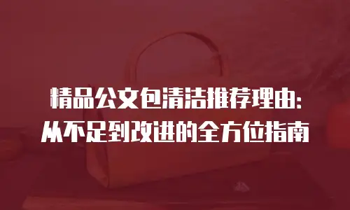 精品公文包清洁推荐理由：从不足到改进的全方位指南