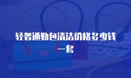 轻奢通勤包清洁价格多少钱一套