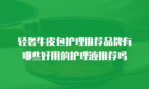轻奢牛皮包护理推荐品牌有哪些好用的护理液推荐吗