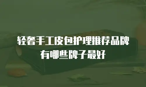 轻奢手工皮包护理推荐品牌有哪些牌子最好