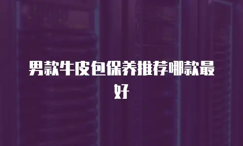 男款牛皮包保养推荐哪款最好