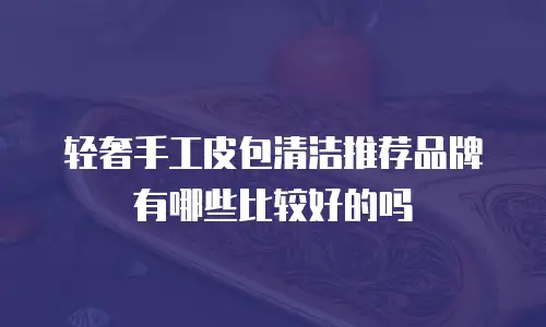 轻奢手工皮包清洁推荐品牌有哪些比较好的吗