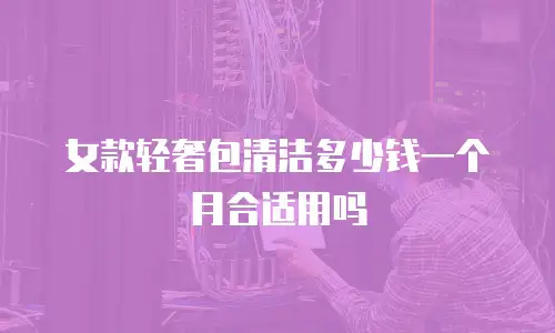 女款轻奢包清洁多少钱一个月合适用吗