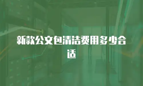 新款公文包清洁费用多少合适