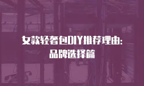 女款轻奢包DIY推荐理由：品牌选择篇