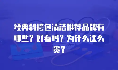 经典斜挎包清洁推荐品牌有哪些？好看吗？为什么这么贵？