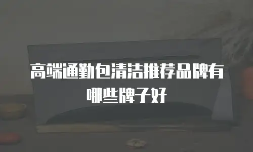 高端通勤包清洁推荐品牌有哪些牌子好