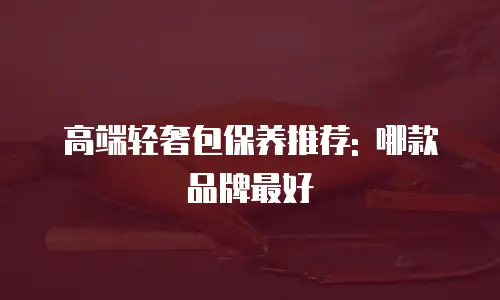 高端轻奢包保养推荐: 哪款品牌最好