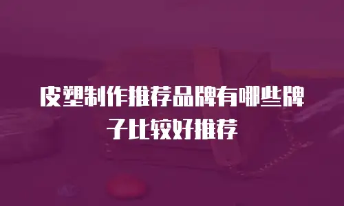 皮塑制作推荐品牌有哪些牌子比较好推荐