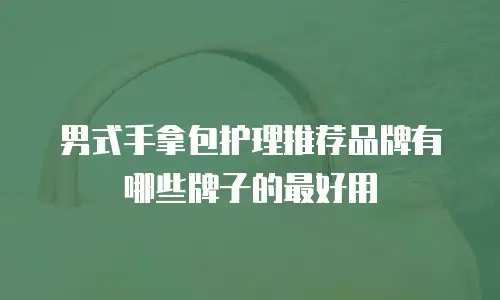 男式手拿包护理推荐品牌有哪些牌子的最好用