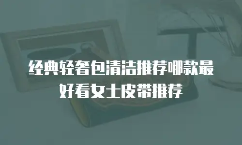 经典轻奢包清洁推荐哪款最好看女士皮带推荐