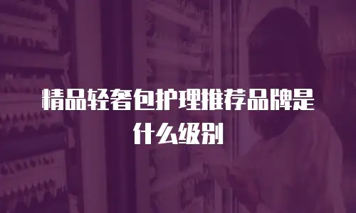 精品轻奢包护理推荐品牌是什么级别