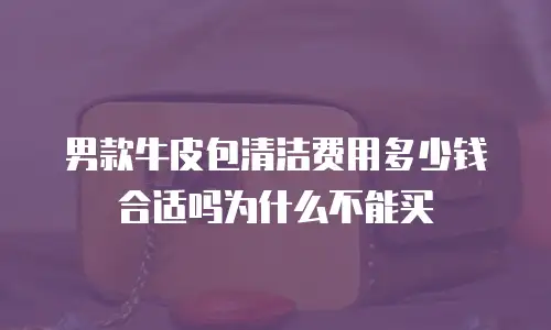 男款牛皮包清洁费用多少钱合适吗为什么不能买