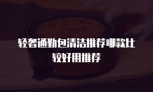 轻奢通勤包清洁推荐哪款比较好用推荐