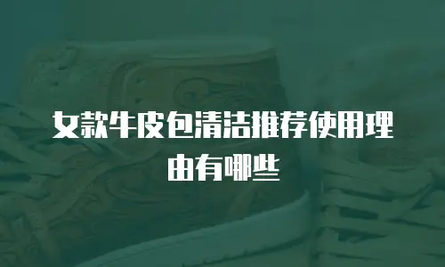 女款牛皮包清洁推荐使用理由有哪些