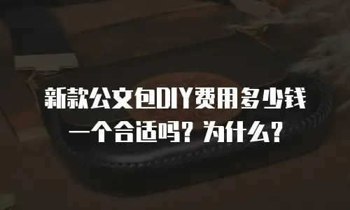 新款公文包DIY费用多少钱一个合适吗？为什么？