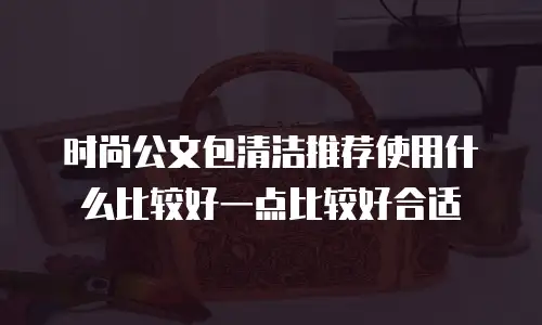 时尚公文包清洁推荐使用什么比较好一点比较好合适
