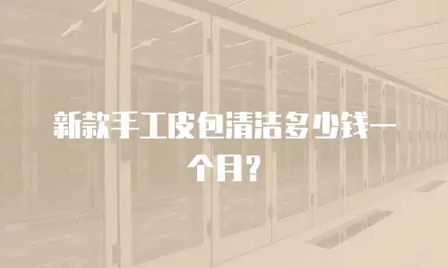 新款手工皮包清洁多少钱一个月？