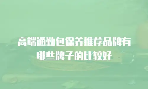 高端通勤包保养推荐品牌有哪些牌子的比较好