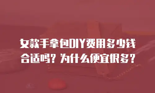 女款手拿包DIY费用多少钱合适吗？为什么便宜很多？