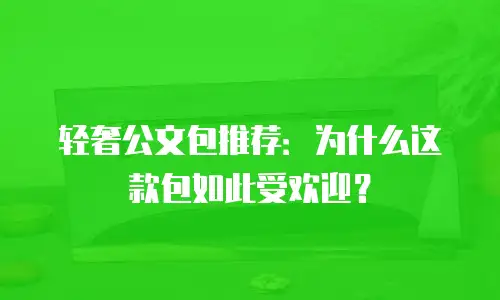 轻奢公文包推荐：为什么这款包如此受欢迎？