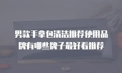 男款手拿包清洁推荐使用品牌有哪些牌子最好看推荐
