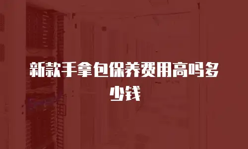 新款手拿包保养费用高吗多少钱