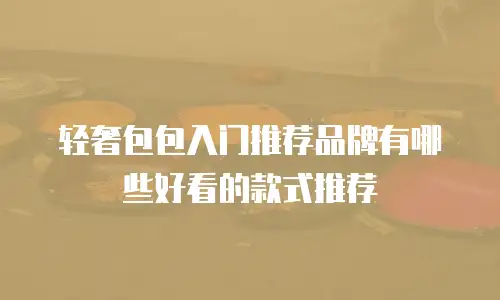 轻奢包包入门推荐品牌有哪些好看的款式推荐