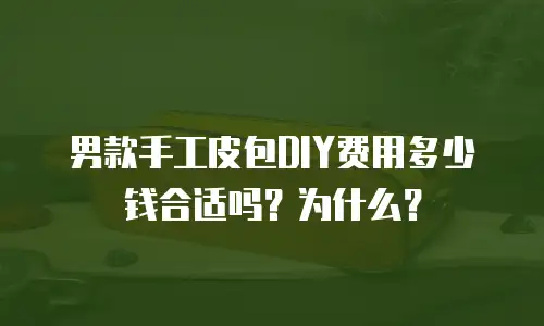 男款手工皮包DIY费用多少钱合适吗？为什么？