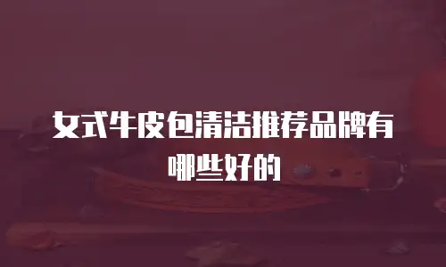 女式牛皮包清洁推荐品牌有哪些好的