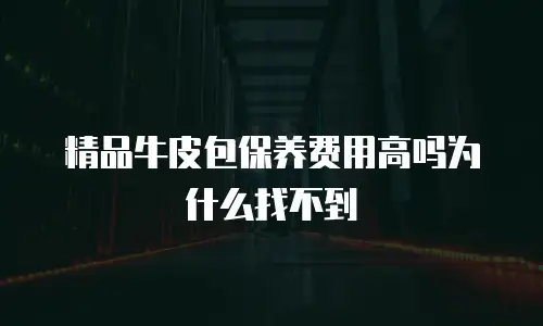 精品牛皮包保养费用高吗为什么找不到