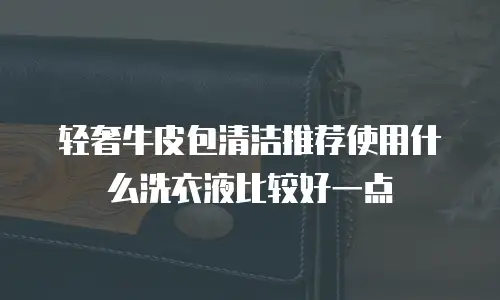 轻奢牛皮包清洁推荐使用什么洗衣液比较好一点