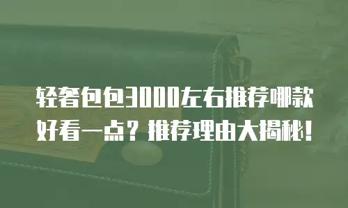 轻奢包包3000左右推荐哪款好看一点？推荐理由大揭秘！