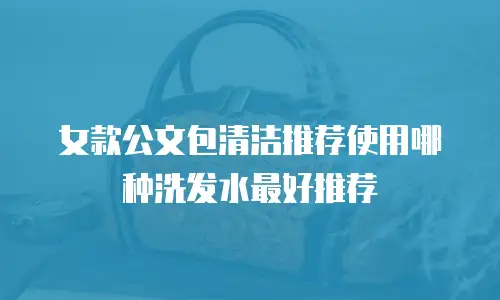 女款公文包清洁推荐使用哪种洗发水最好推荐