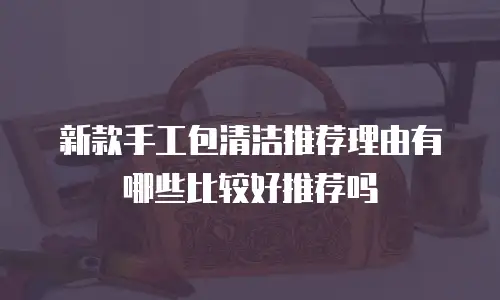 新款手工包清洁推荐理由有哪些比较好推荐吗