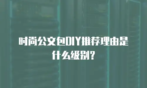 时尚公文包DIY推荐理由是什么级别？