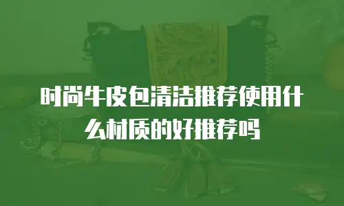 时尚牛皮包清洁推荐使用什么材质的好推荐吗