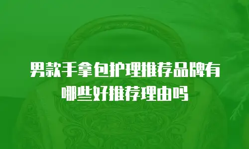 男款手拿包护理推荐品牌有哪些好推荐理由吗