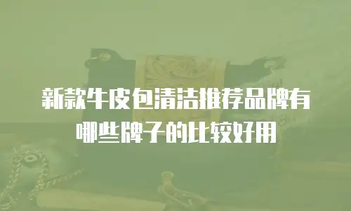 新款牛皮包清洁推荐品牌有哪些牌子的比较好用