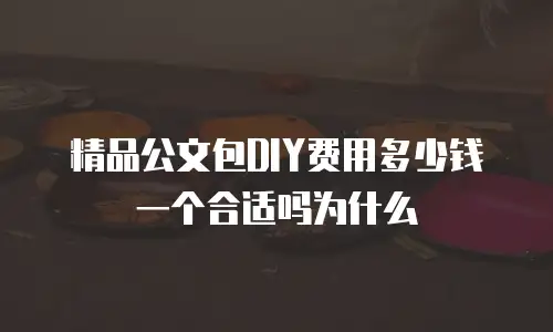 精品公文包DIY费用多少钱一个合适吗为什么