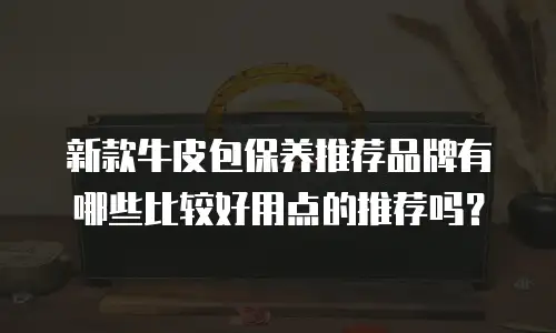新款牛皮包保养推荐品牌有哪些比较好用点的推荐吗？
