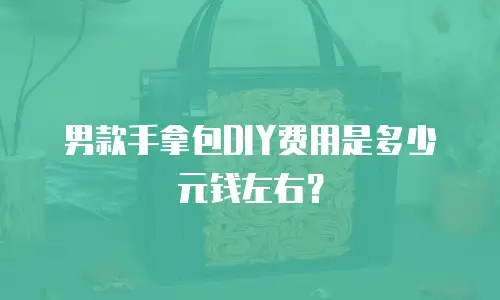 男款手拿包DIY费用是多少元钱左右？