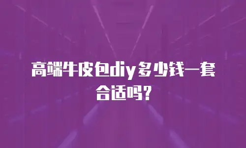 高端牛皮包diy多少钱一套合适吗？
