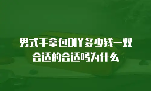 男式手拿包DIY多少钱一双合适的合适吗为什么