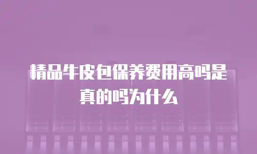 精品牛皮包保养费用高吗是真的吗为什么